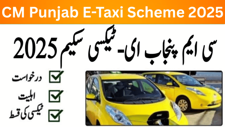 CM Punjab E-Taxi Scheme 2025