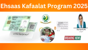 Read more about the article Ehsaas Kafaalat Program 2025 – Your Complete Guide to Trusted Financial Support for Women